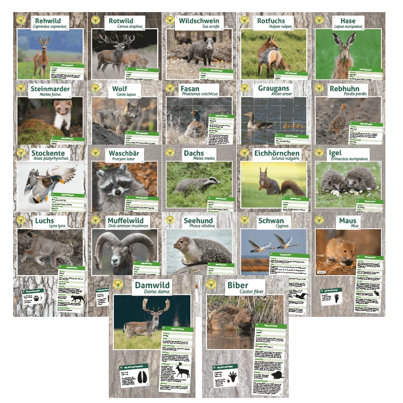 Tierposter im Format DIN A4 (Satz mit 22 Stück)