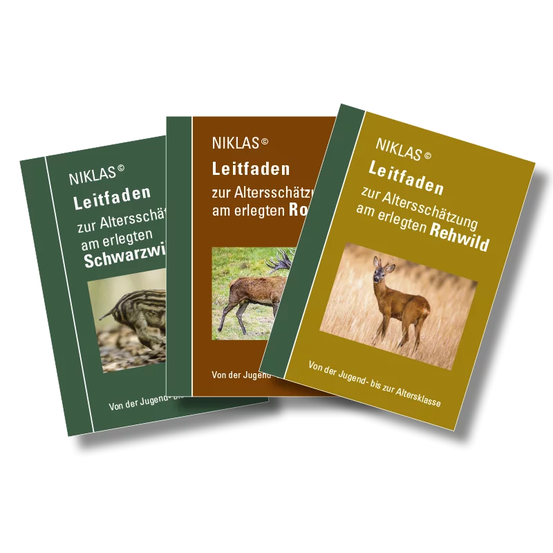 NIKLAS-Set "Leitfaden zur Altersschätzung"