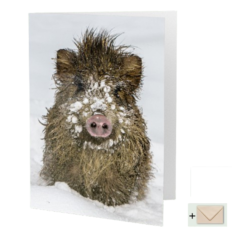 Klappkarte "Wildschwein im Schnee"