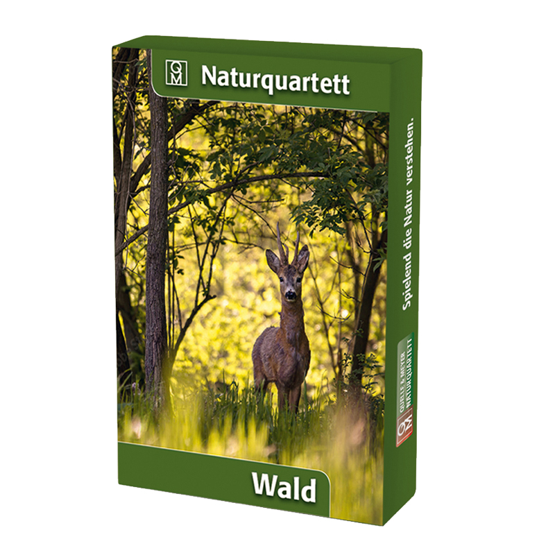 Naturquartett "Wald"