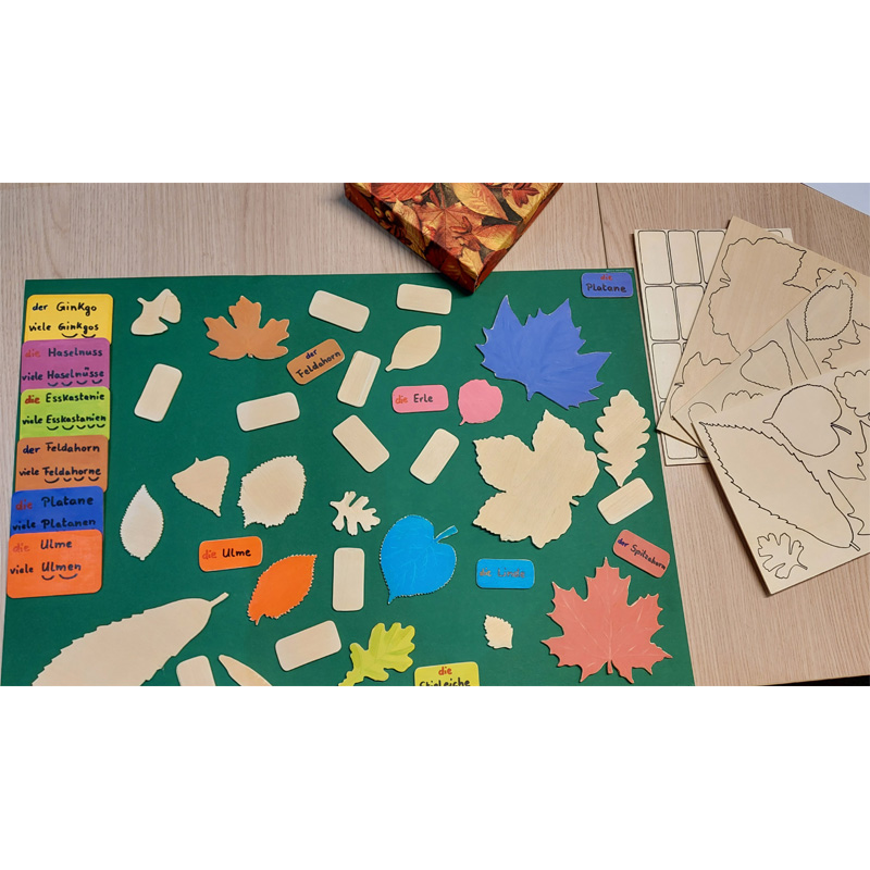 Lernort Natur-Bastelset Baum-Memo-Spiel