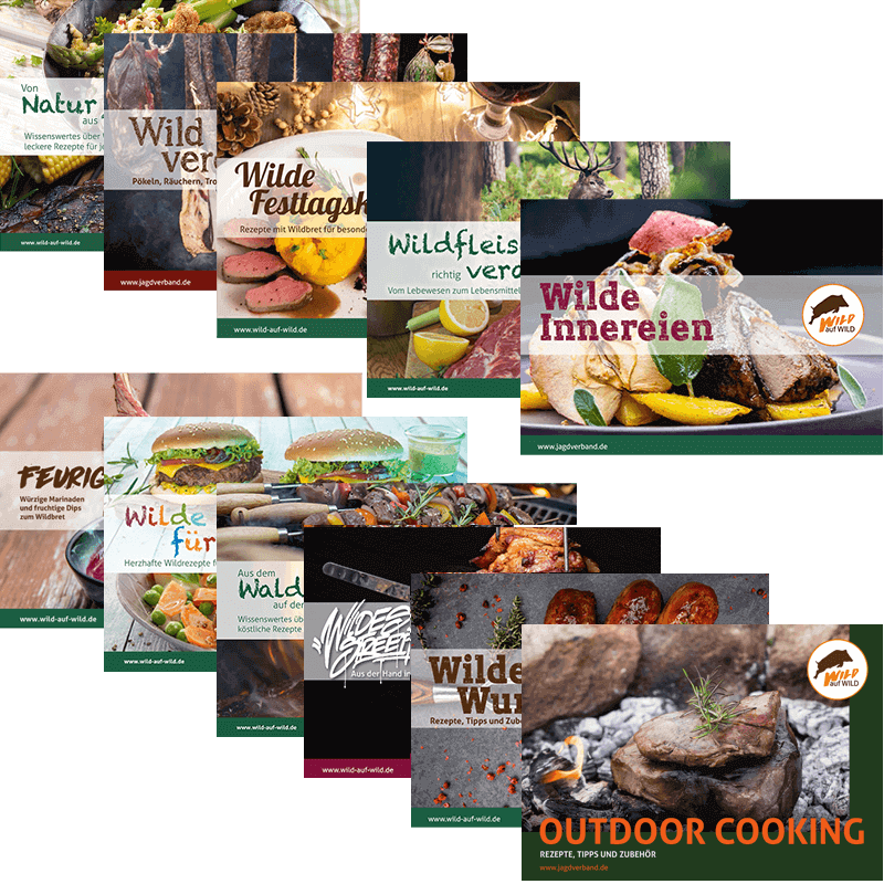 Rezeptbroschüren-Paket "Wild auf Wild" (11 Stück)