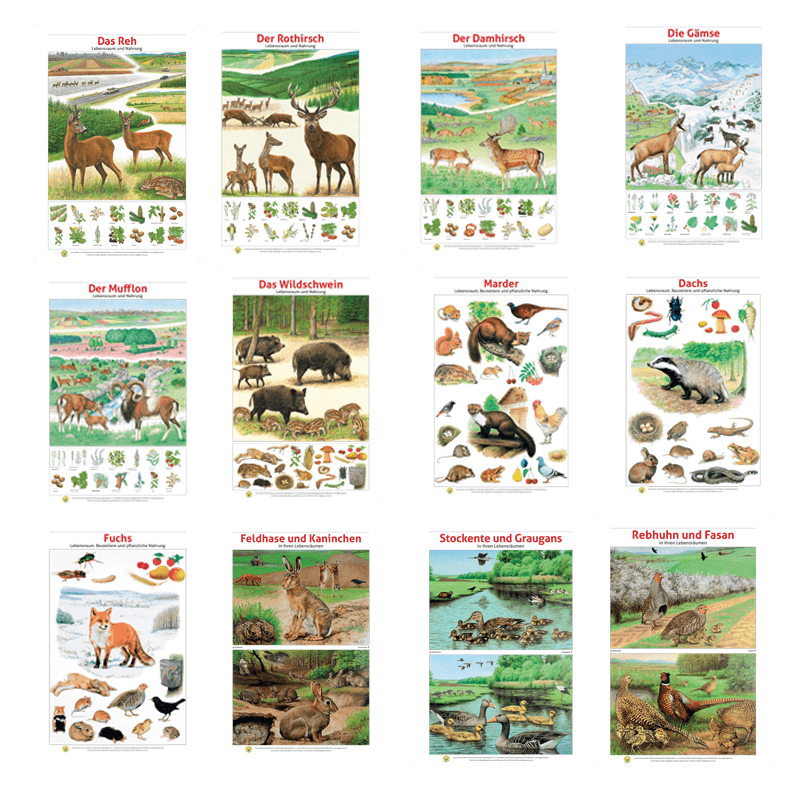 Lernort Natur-Tierposter-Set "Heimische Wildtiere - Lebensraum und Futter"