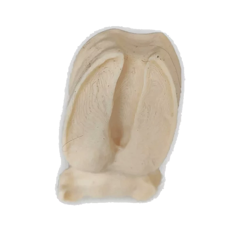 Fährtenstempel Wildschwein