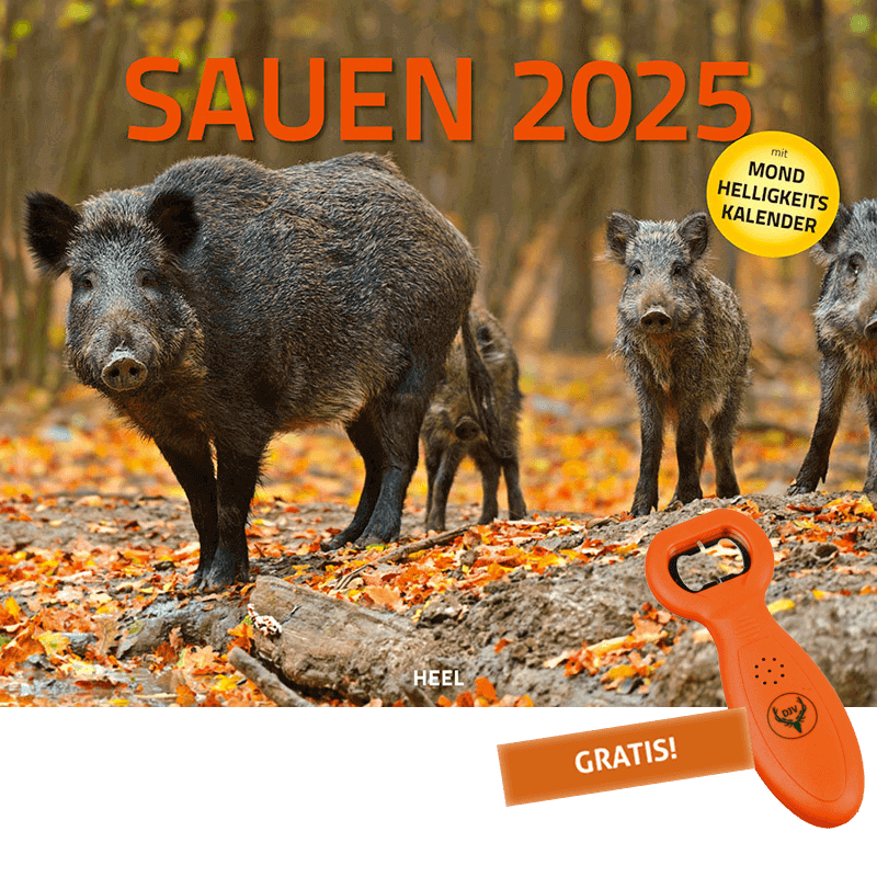 Kalender "Sauen 2025" mit Mondhelligkeitskalender (inkl. Flaschenöffner)