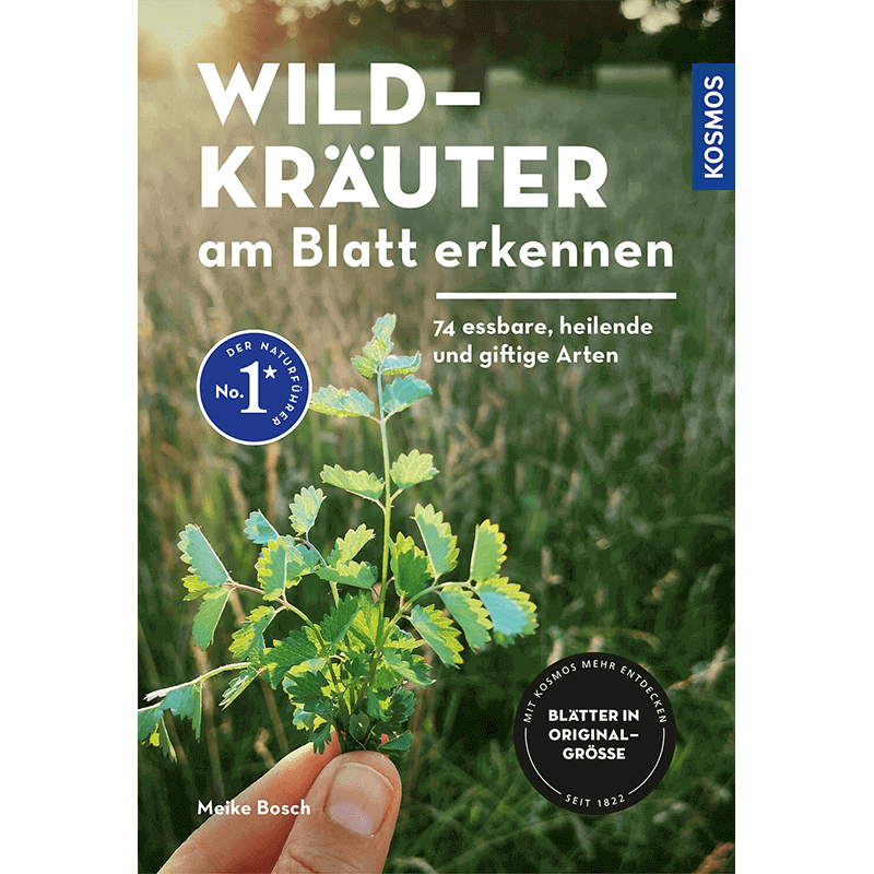 Buch "Wildkräuter am Blatt erkennen"