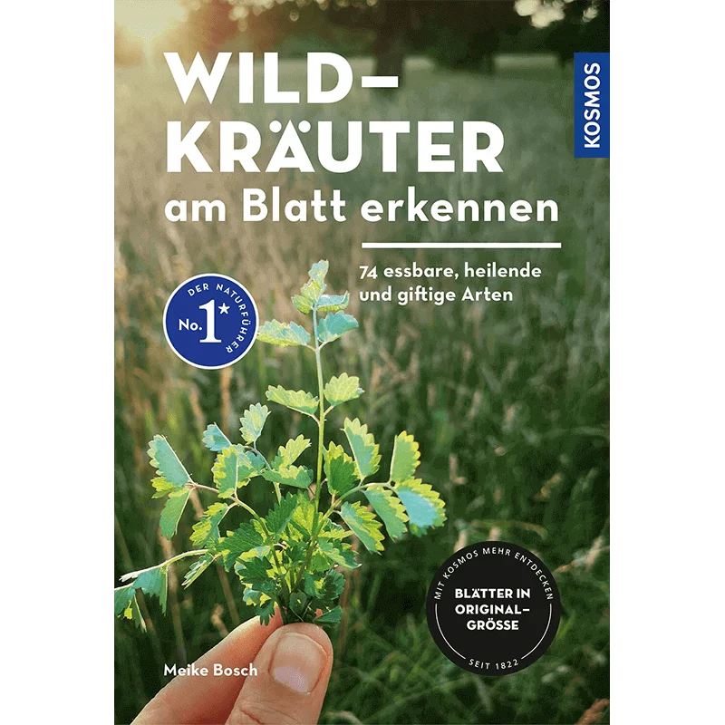 Buch "Wildkräuter am Blatt erkennen"