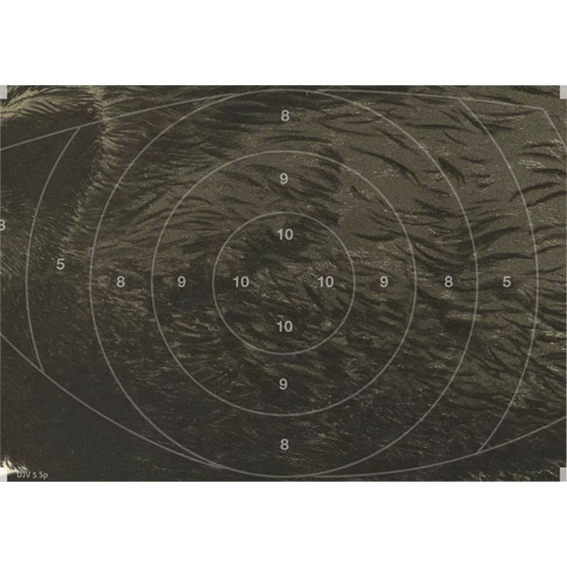 Spiegel selbstkl. DJV-Folienscheibe Nr. 5 (Fl. Überl., 50m)