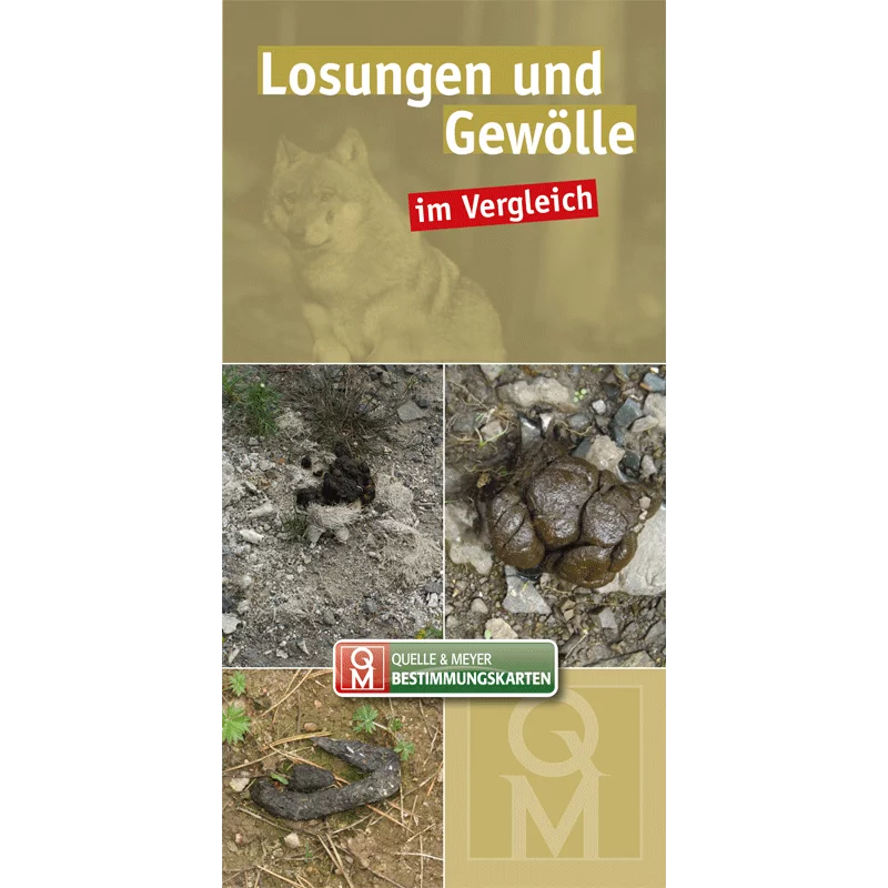 Bestimmungskarte „Losungen und Gewölle im Vergleich“