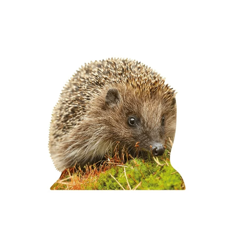 Tieraufsteller Igel