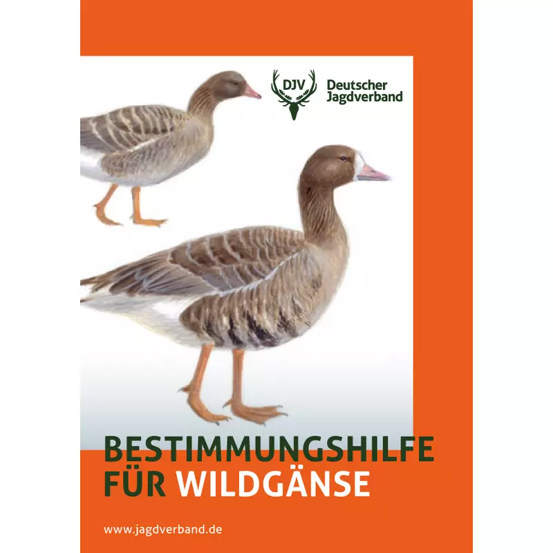 Broschüre "Bestimmungshilfe für Wildgänse"