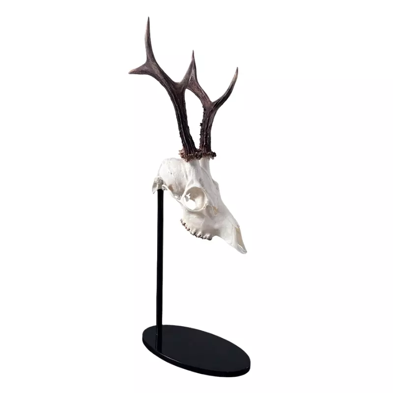 Trophäenständer 