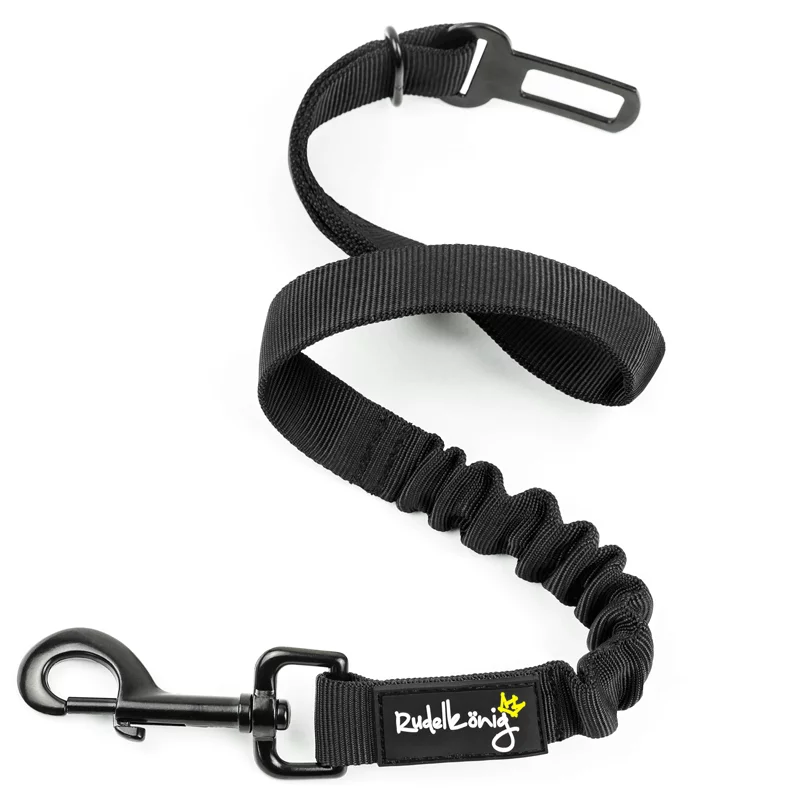 Hund-Anschnallen-Auto