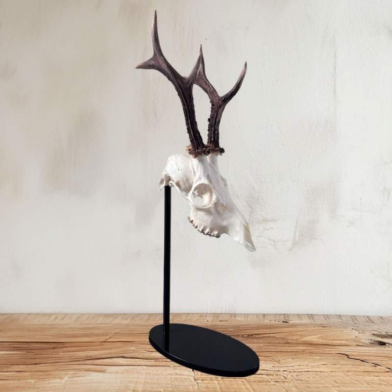 Trophäenständer