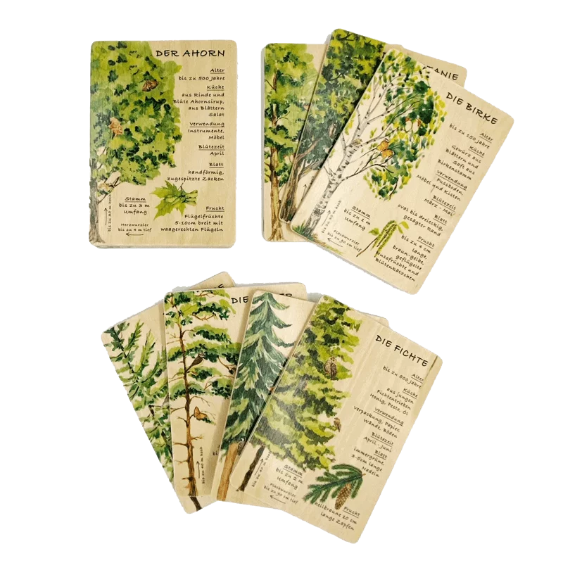 Holzkarten Lernkarten Wald Set (12 Karten)