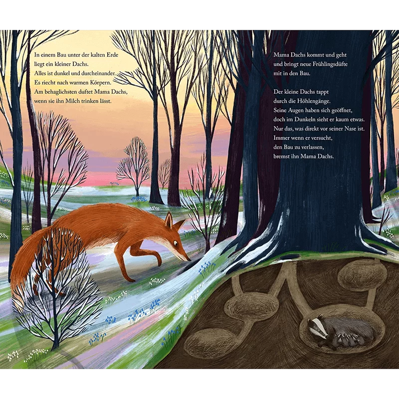 dachsjahr-kinderzimmer-jagd-wild-wald-fuchs-djv-lesen-naturbuch