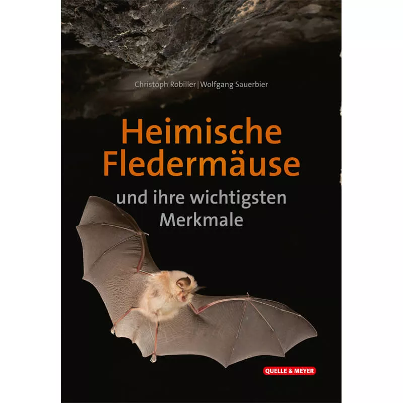 Bestimmungskarte "Heimische Fledermäuse und ihre wichtigsten Merkmale"