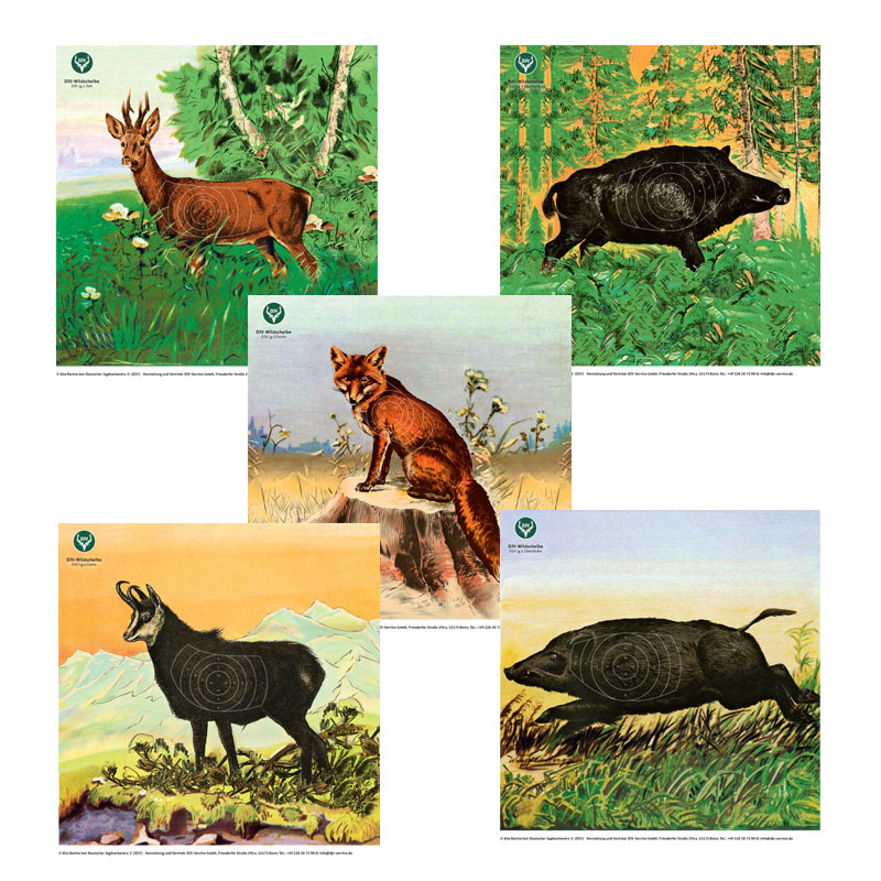 DJV-Luftgewehrscheibe Set Nr. 1-5 (10m, 5 Motive, 100 Stück)