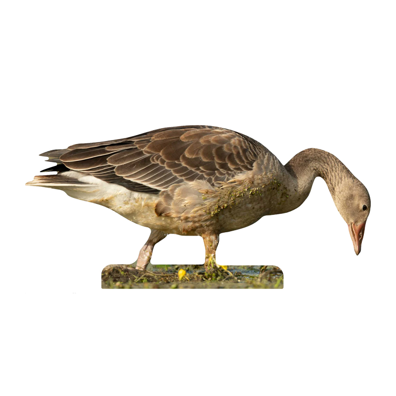 Tieraufsteller Graugans