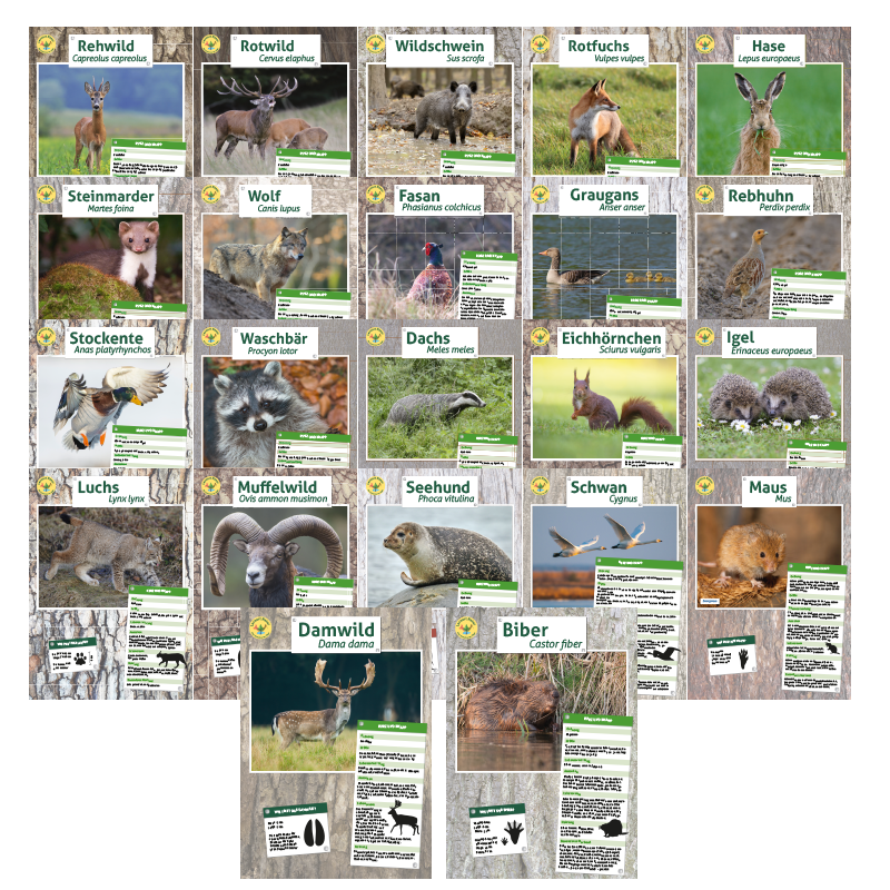 Lernort Natur-Tierposter Set (22 Motive)