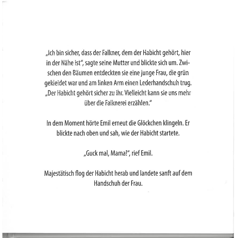Kinderbuch "Emil und die Falknerin"
