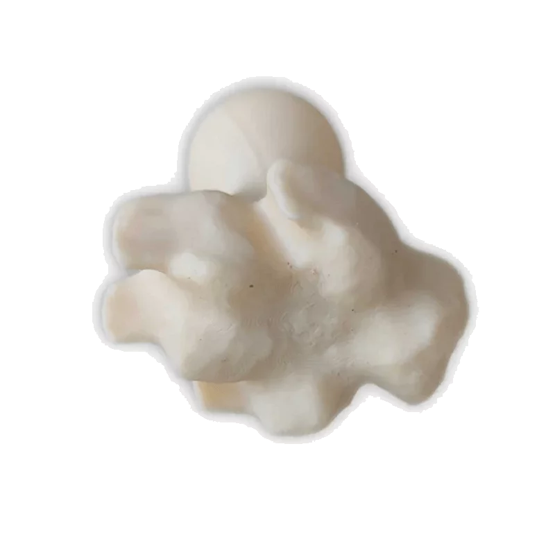 Fährtenstempel Fuchs