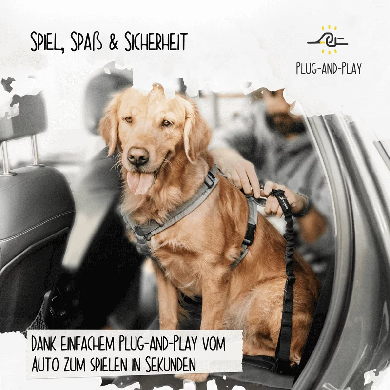 DJV-Shop-Rudelkoenig