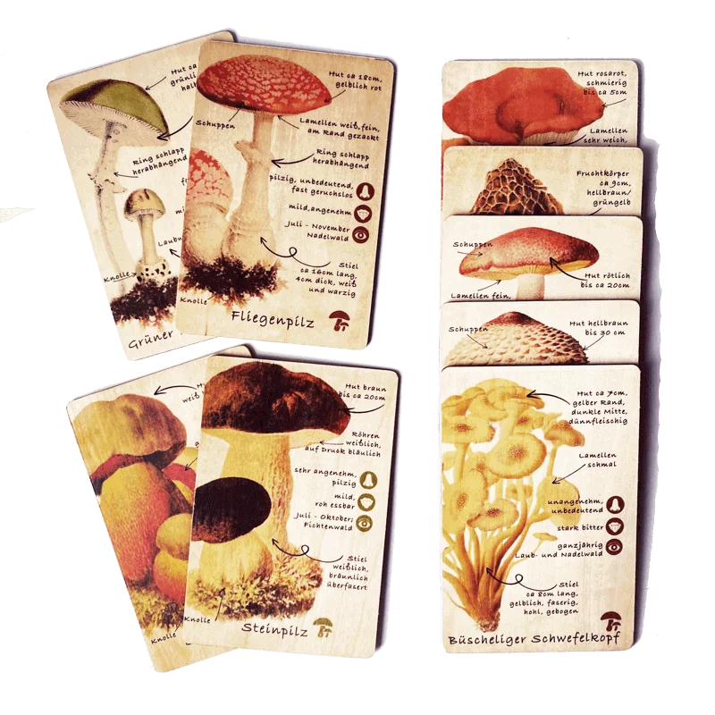 Holzkarten Lernkarten Pilze Set (9 Karten)