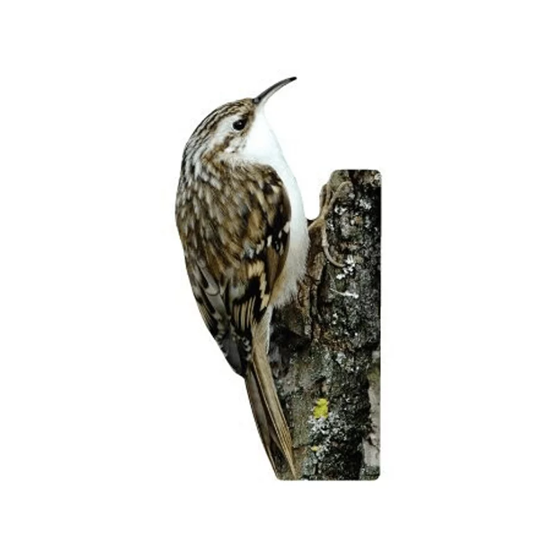 Tieraufsteller Gartenbaumläufer