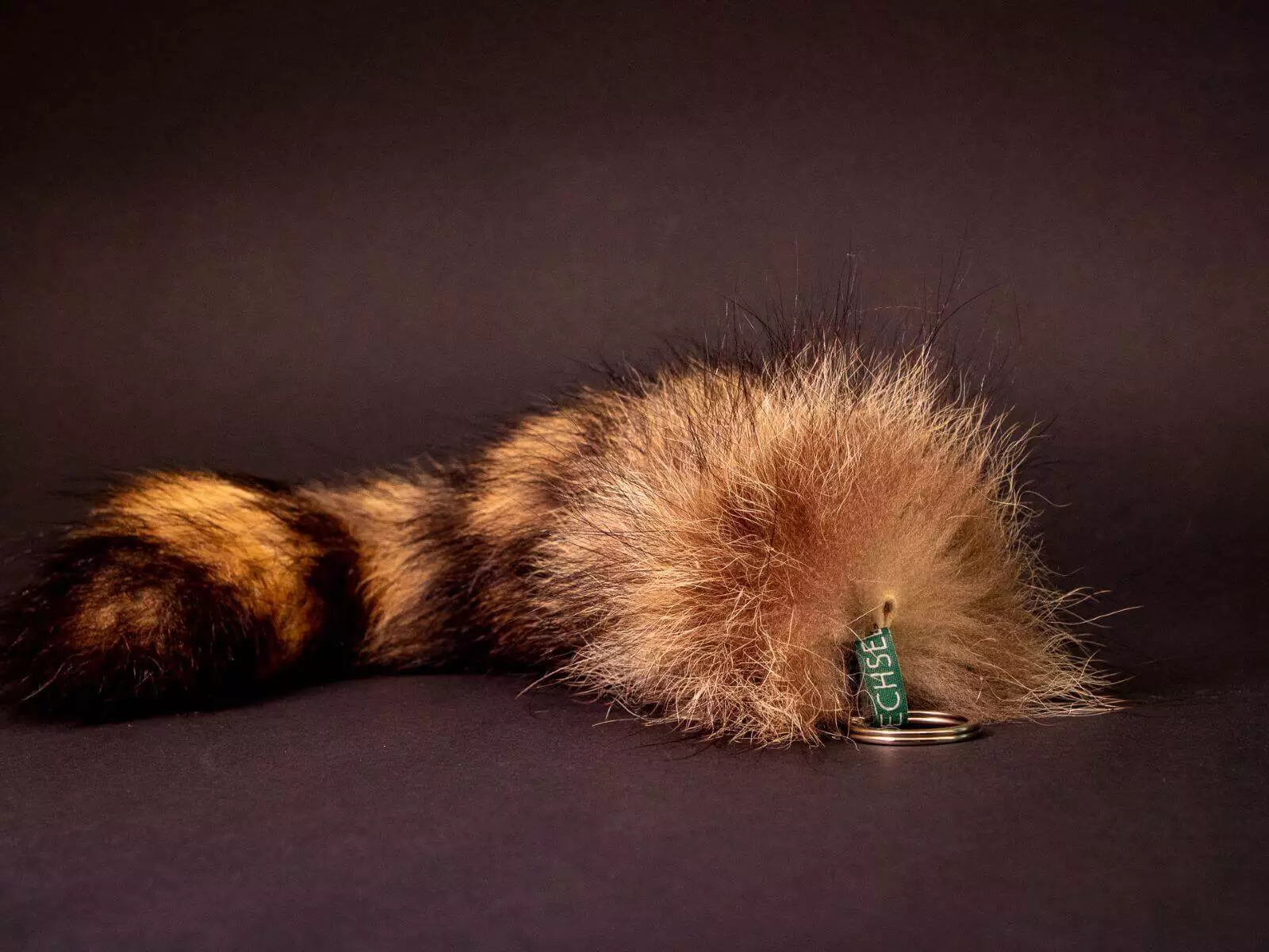 Fellwechsel Anhänger Waschbärrute