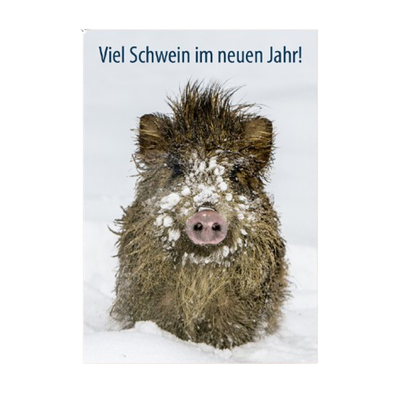 Postkarte "Viel Schwein im neuen Jahr!"