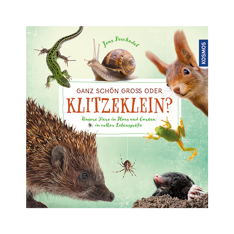 Kinderbuch "Ganz schön groß oder klitzeklein?“