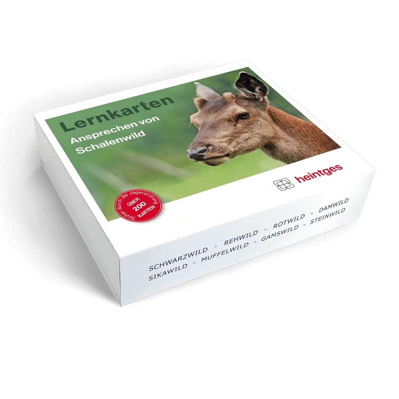 Lernkarten "Ansprechen von Schalenwild"