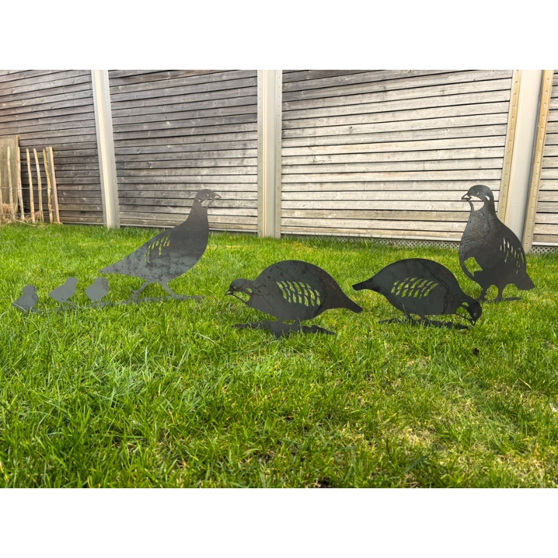 Deko-Gartenstecker Rebhuhn-Set (4-teilig)