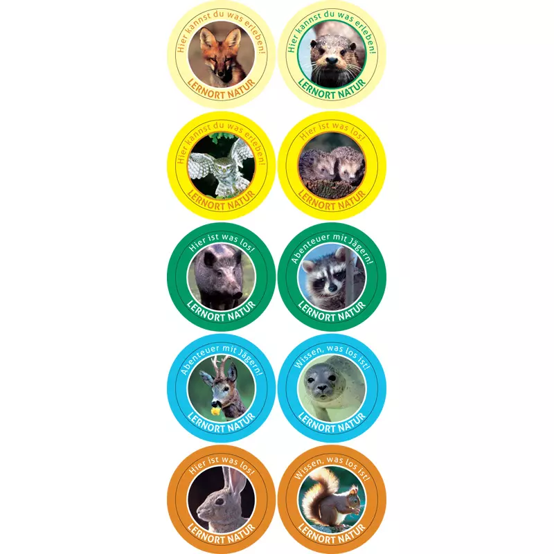 Lernort Natur-Buttons (100 Stück)