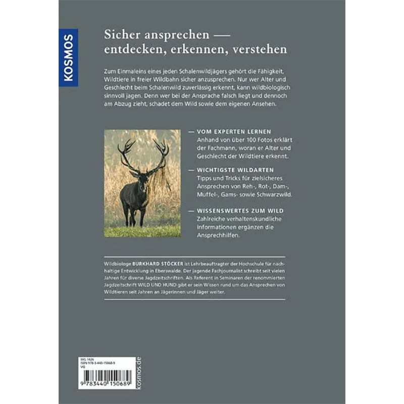 schalenwild-altersansprache-jagd-wild