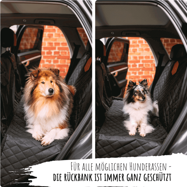 Rudelkönig Hunde-Rücksitzschutz