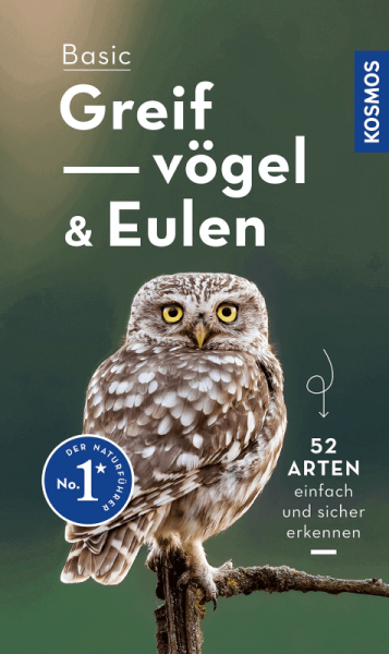 Buch "Basic Greifvögel & Eulen"