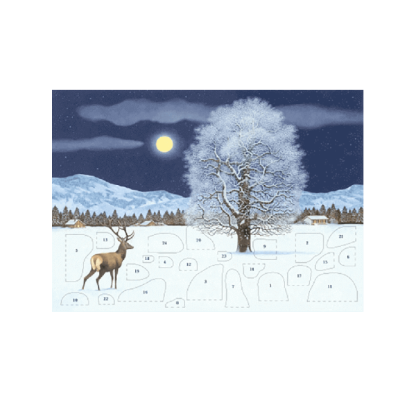 Grußkarte Adventskalender "Zauberhafte Winternacht"