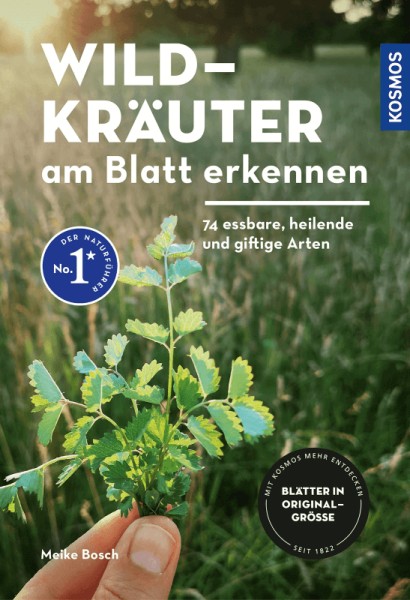 Buch "Wildkräuter am Blatt erkennen"