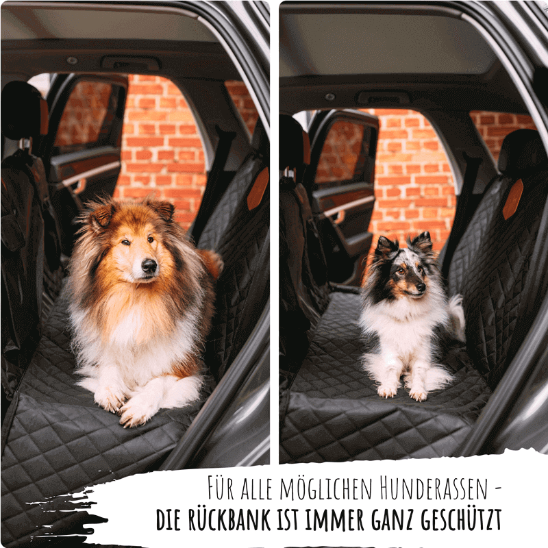 Der Rücksitzschutz für Hunde - die perfekte Autoschondecke fürs Auto –  Rudelkönig