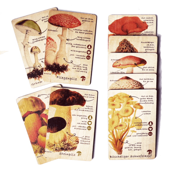 Holzkarten Lernkarten Pilze Set (9 Karten)
