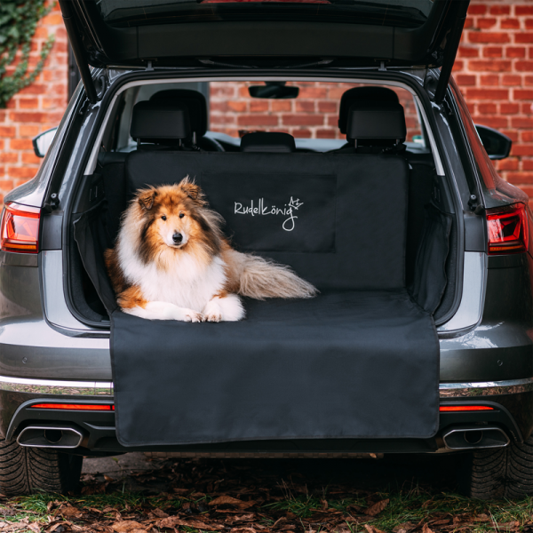 Rudelkönig Hunde-Kofferraumschutz