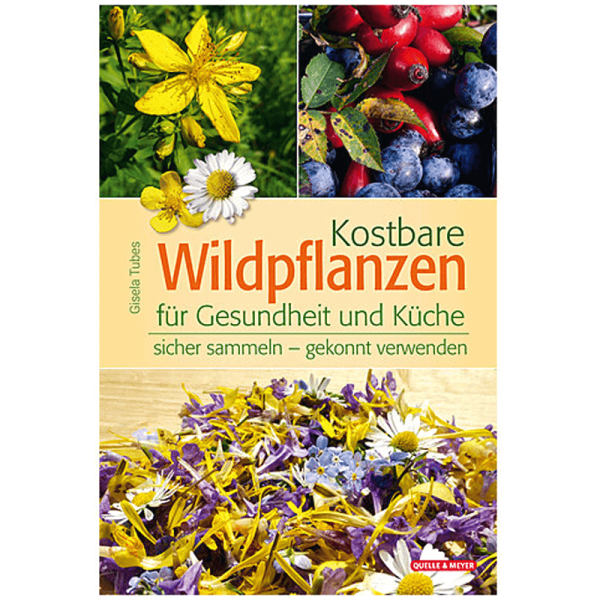 Buch "Kostbare Wildpflanzen für Gesundheit und Küche"